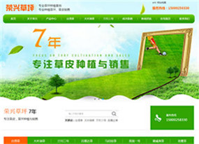 廣州榮興草場-專業(yè)草坪種植基地